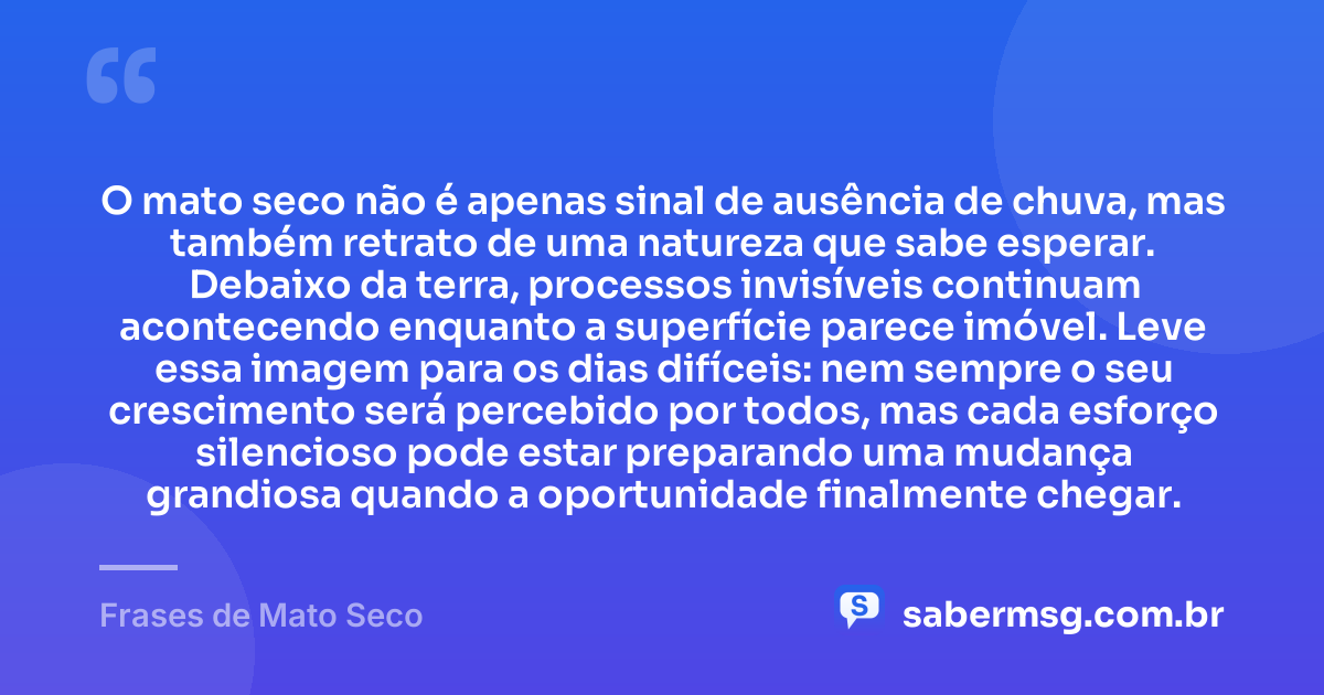 O mato seco não é apenas sinal de ausência de chuva, mas também retrato de uma natureza que sabe esperar. Debaixo da terra, processos invisíveis continuam acontecendo enquanto a superfície parece imóvel. Leve essa imagem para os dias difíceis: nem sempre o seu crescimento será percebido por todos, mas cada esforço silencioso pode estar preparando uma mudança grandiosa quando a oportunidade finalmente chegar. — Frases de Mato Seco